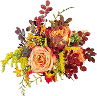 autumn flowers 